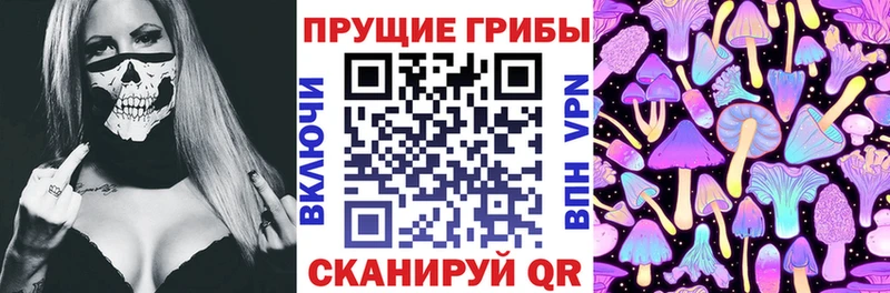 Галлюциногенные грибы Psilocybine cubensis  наркошоп  Светлый 