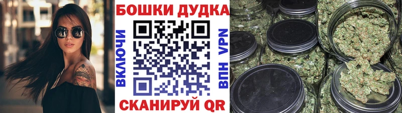 Бошки марихуана планчик  наркошоп  Светлый 